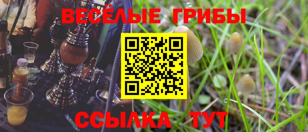 Псилоцибиновые грибы мухоморы Протвино