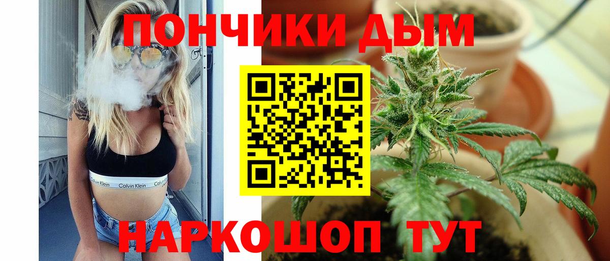 Бошки марихуана индика  Каннабис марихуана  Вход с VPN  МАРИХУАНА конопля  Протвино  Шишки марихуана марихуана 