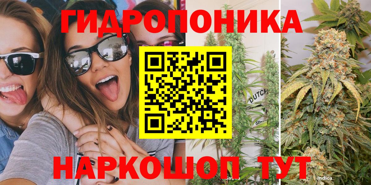 Каннабис OG Kush Протвино